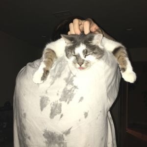 Meet your Posher, Justina